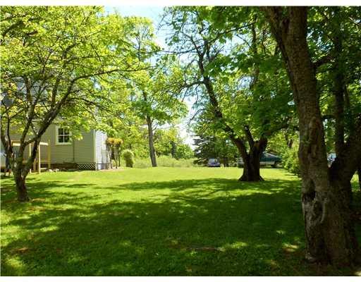 92 Iron Point Road North Haven, ME 04853 - Photo 5 of 9 Yard/Garden.