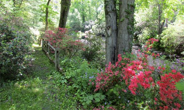 46 Lawson Road Winchester, MA 01890 - Photo 28 of 30 Gallery Image 28