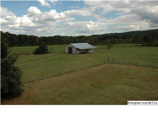 3093 Crawford Cove Road Springville, AL 35146 - Photo 4 of 31