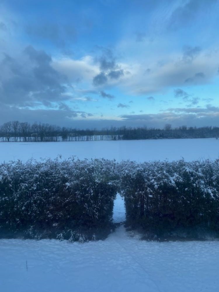 75 Adams School Road Grand Isle, VT 05458 - Photo 39 of 48