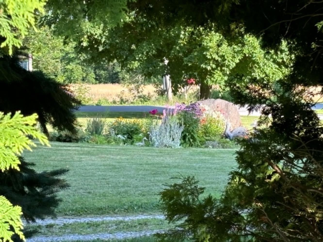 75 Adams School Road Grand Isle, VT 05458 - Photo 45 of 48