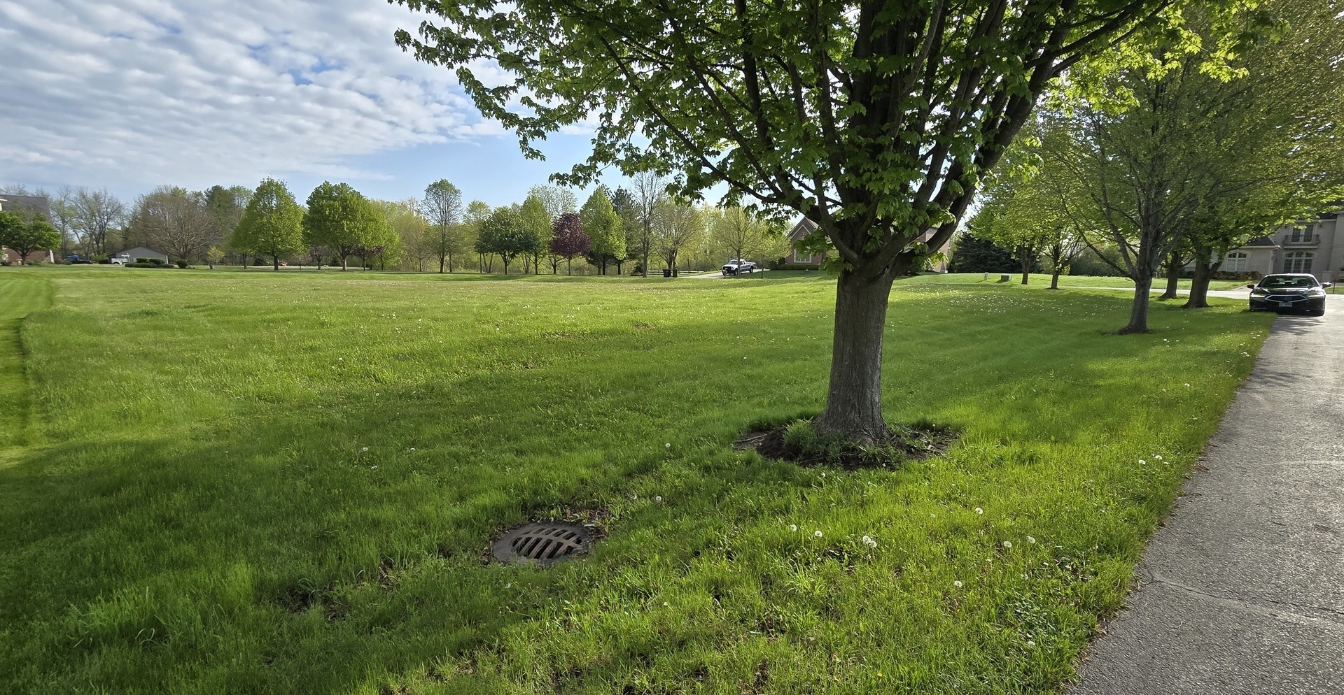 a big yard with lots of green space and trees