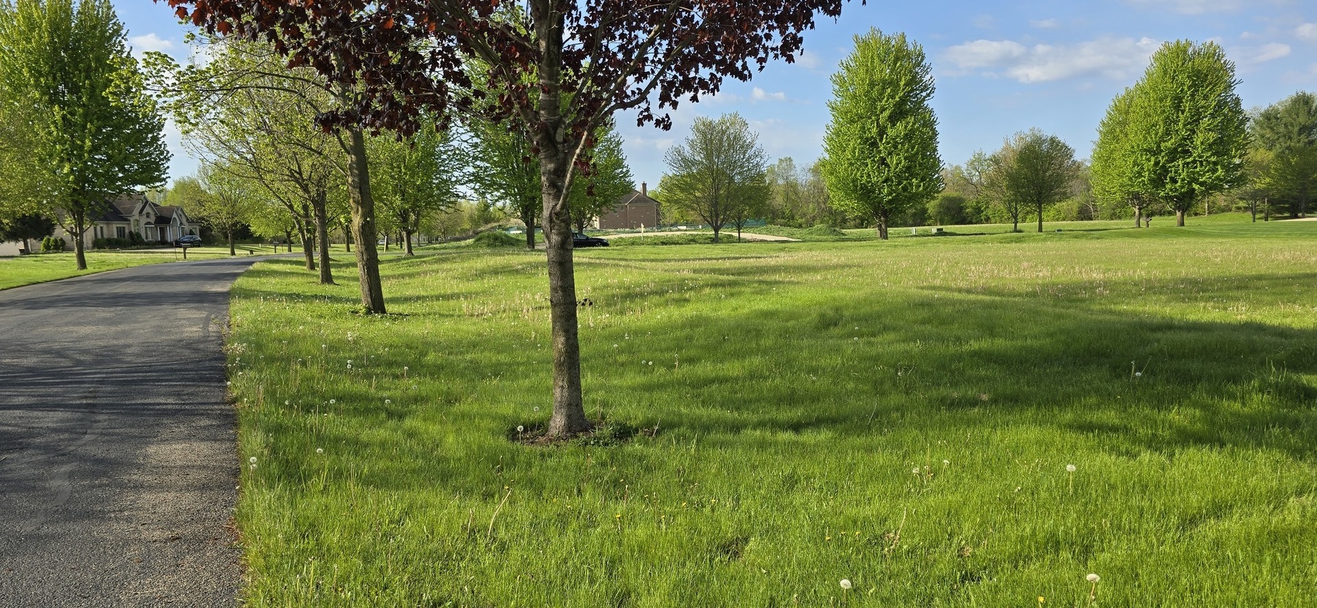 2 Anthony Court Wayne, IL 60184 - Photo 2 of 4 a view of a park with trees and grass