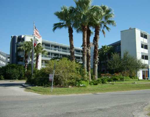 a plant that is sitting in front of a house with a yard