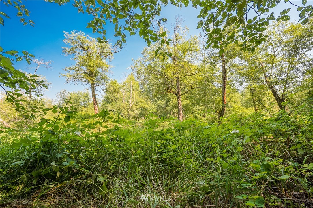 0 Martin Road Bellingham, WA 98226 - Photo 15 of 22