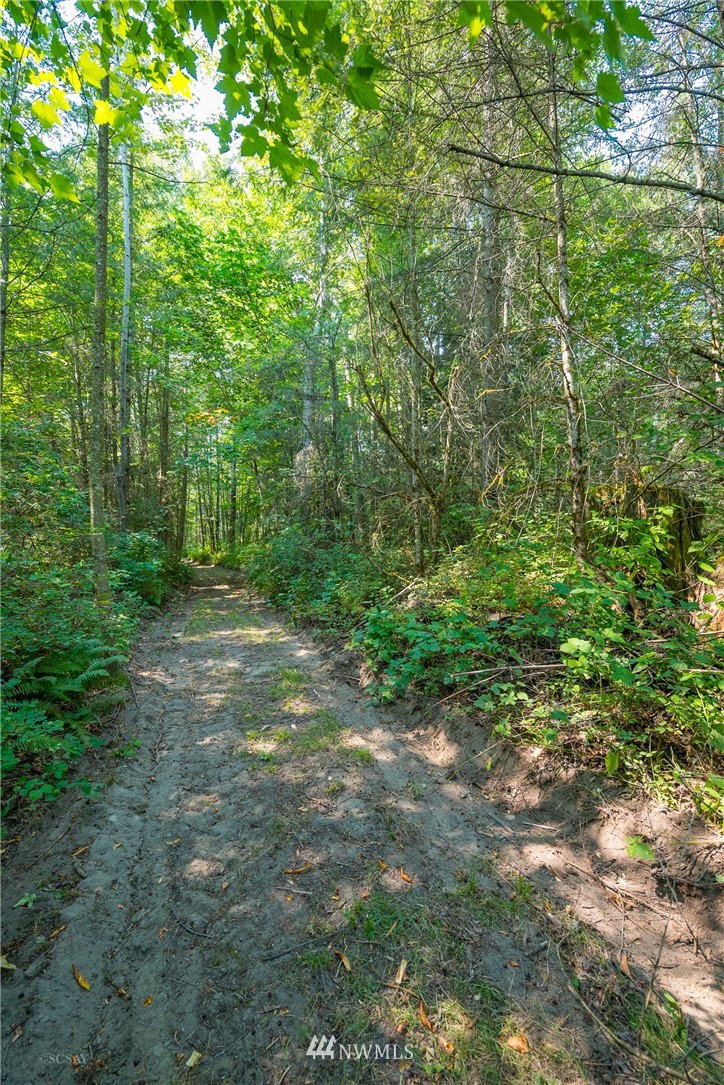 0 Martin Road Bellingham, WA 98226 - Photo 17 of 22