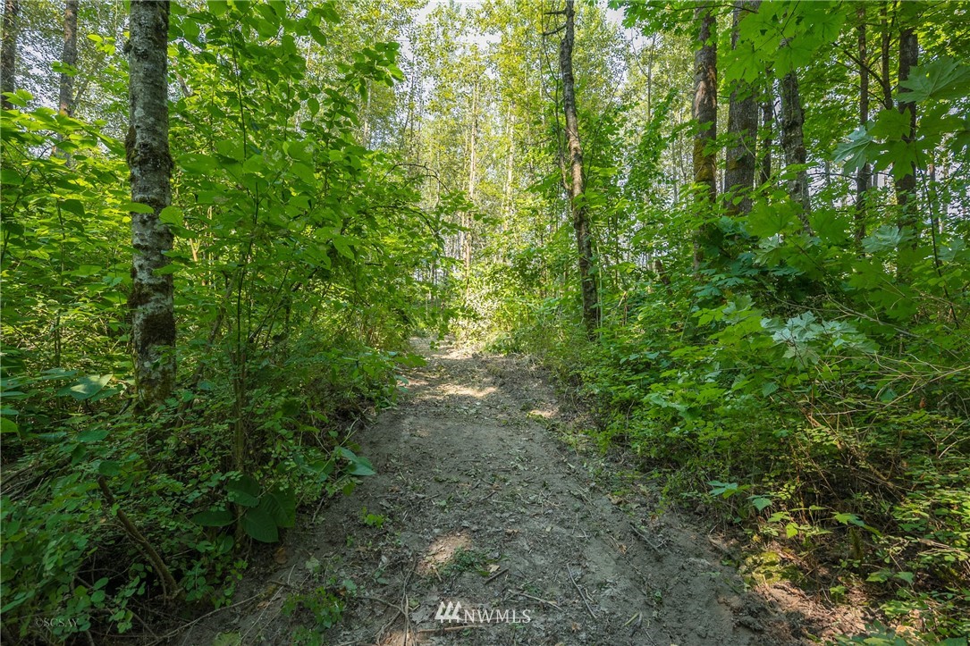 0 Martin Road Bellingham, WA 98226 - Photo 18 of 22