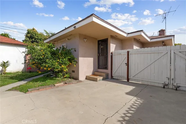 a view of a yard with plants and a fountain