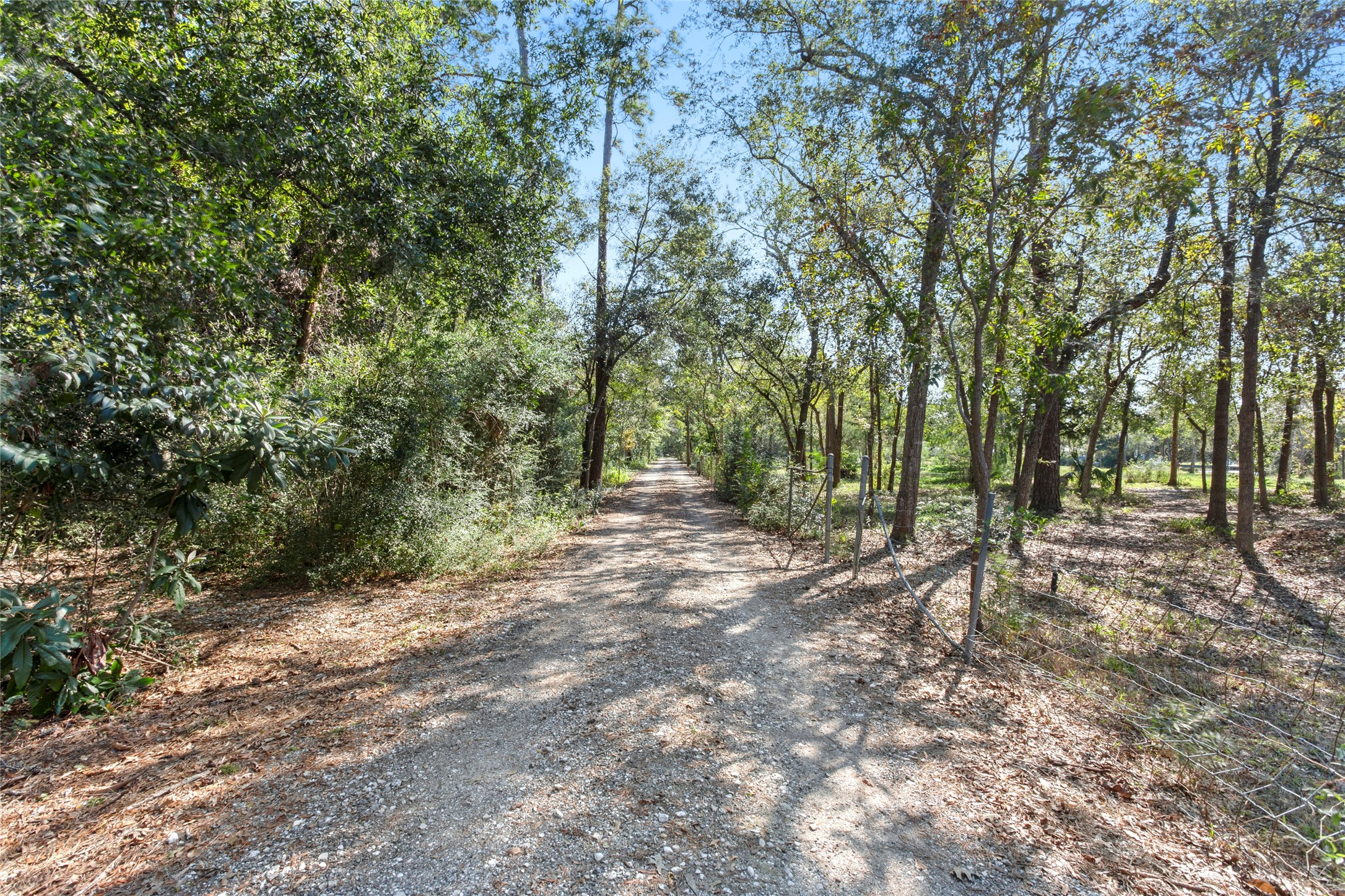 860 FM 517 Road East Dickinson, TX 77539 - Photo 9 of 50 a view of outdoor space and trees