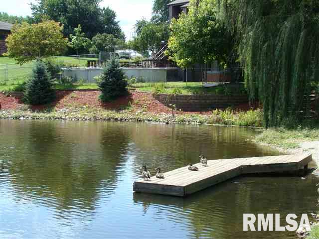 126 Rustic Lake Drive Colona, IL 61241 - Photo 12 of 12 Gallery Image 12