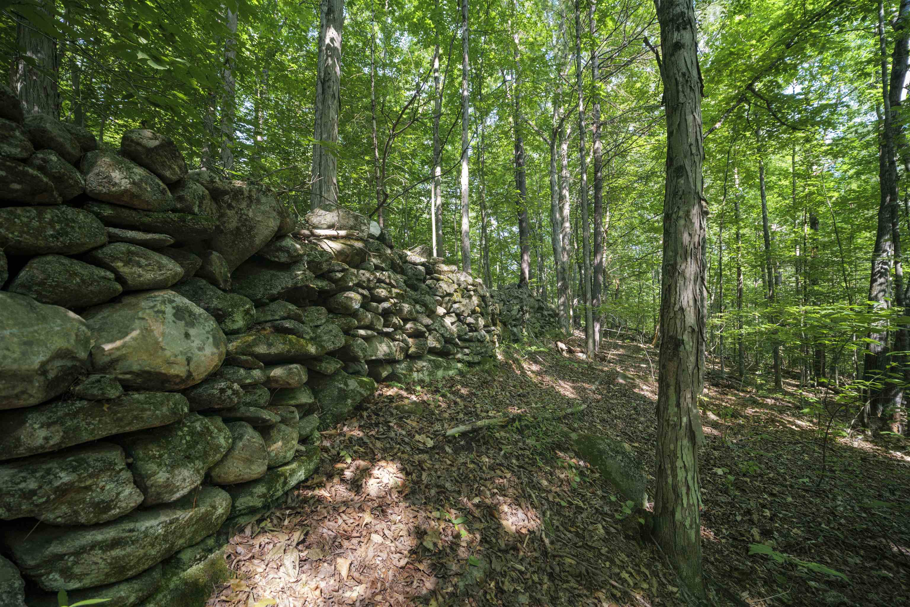 0 Howe Farm Road Jamaica, VT 05343 - Photo 11 of 25