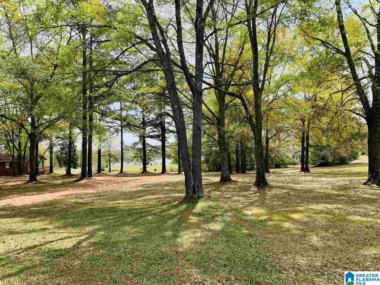 0 Carleton Point, Unit 10 Wilsonville, AL 35186 - Photo 3 of 14