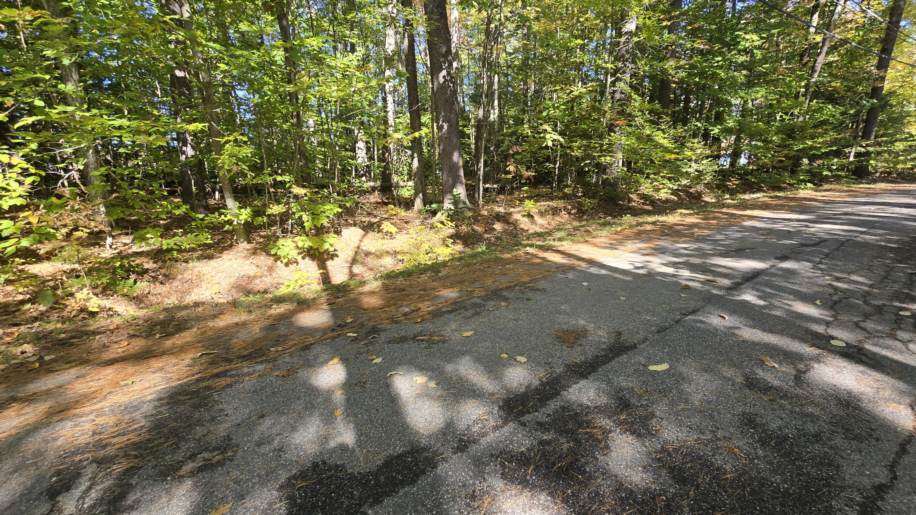 Lot 8 Alpine Road Bridgton, ME 04009 - Photo 4 of 11 20241008_124806