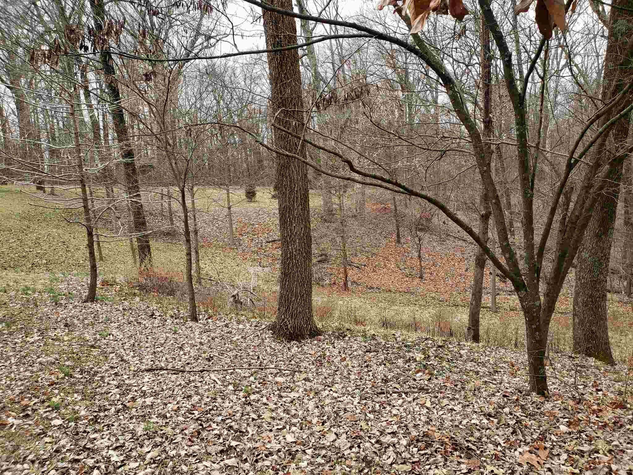 4901 Ford Road Mount Vernon, IN 47620 - Photo 9 of 11 Gallery Image 9