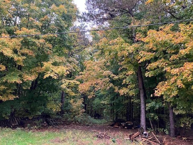 E West County Line Road Buckley, MI 49620 - Photo 2 of 7