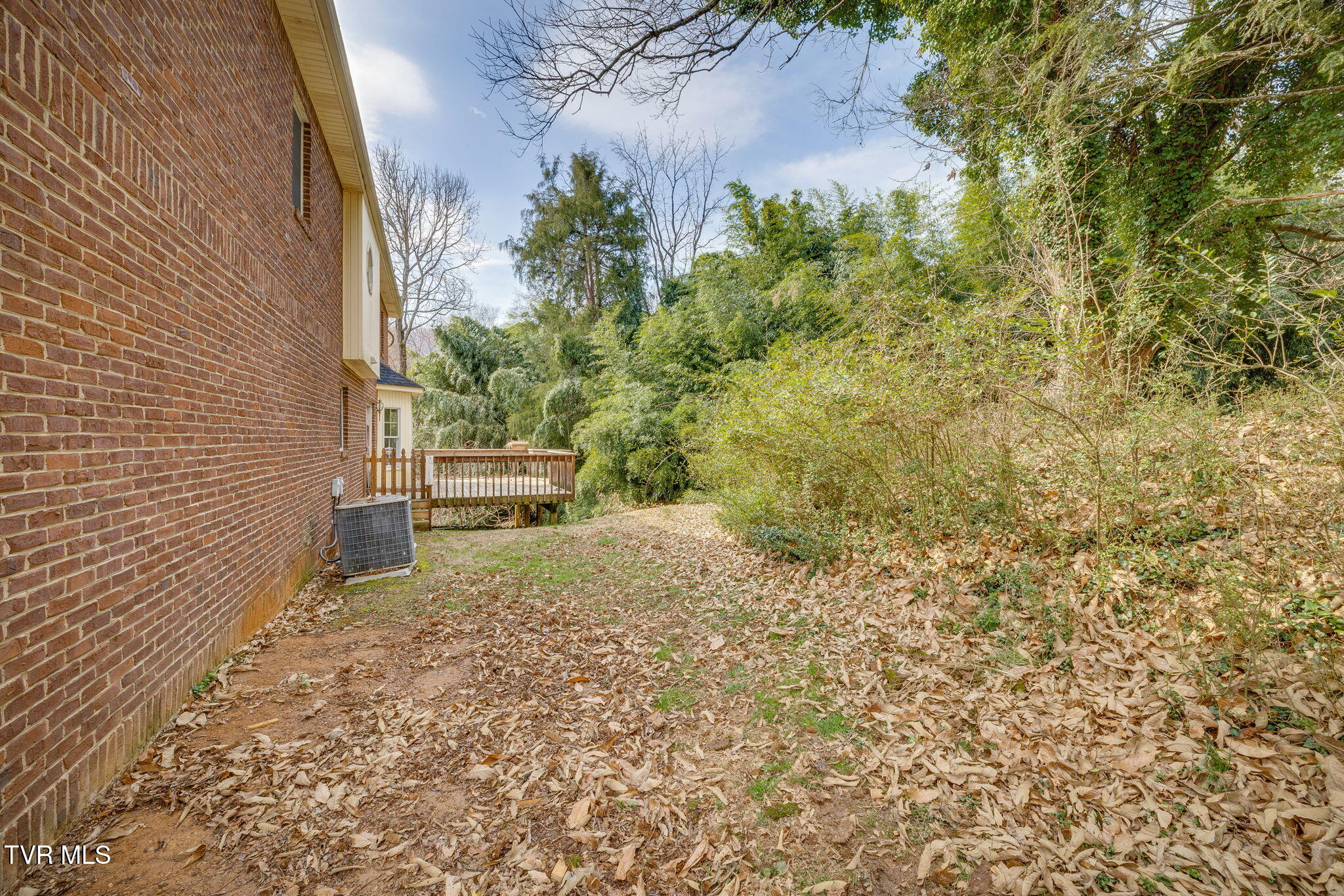 704 Ridgefields Road Kingsport, TN 37660 - Photo 46 of 55 047