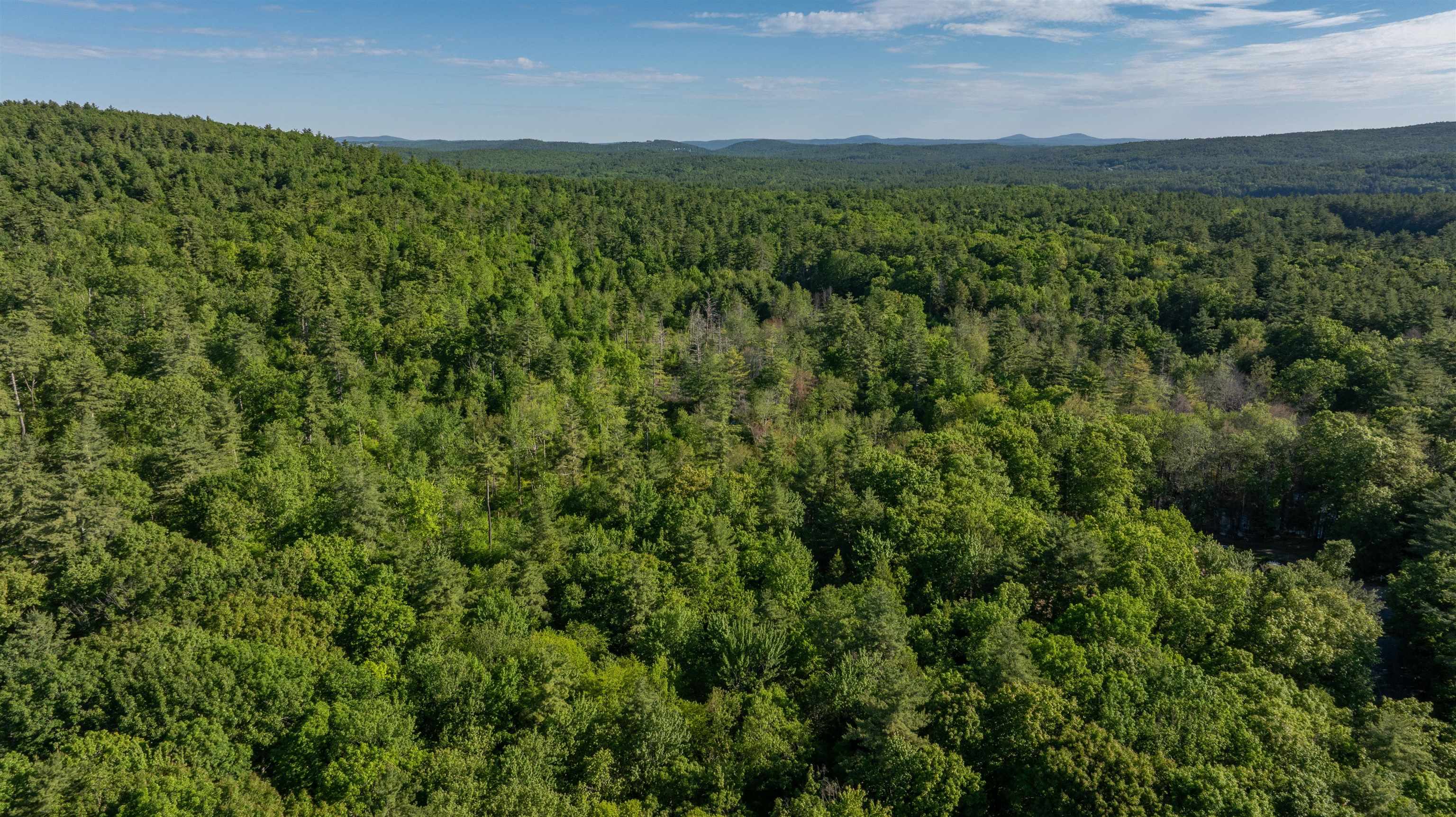 Map G Lot 4 Map G Road Brookline, NH 03033 - Photo 6 of 13
