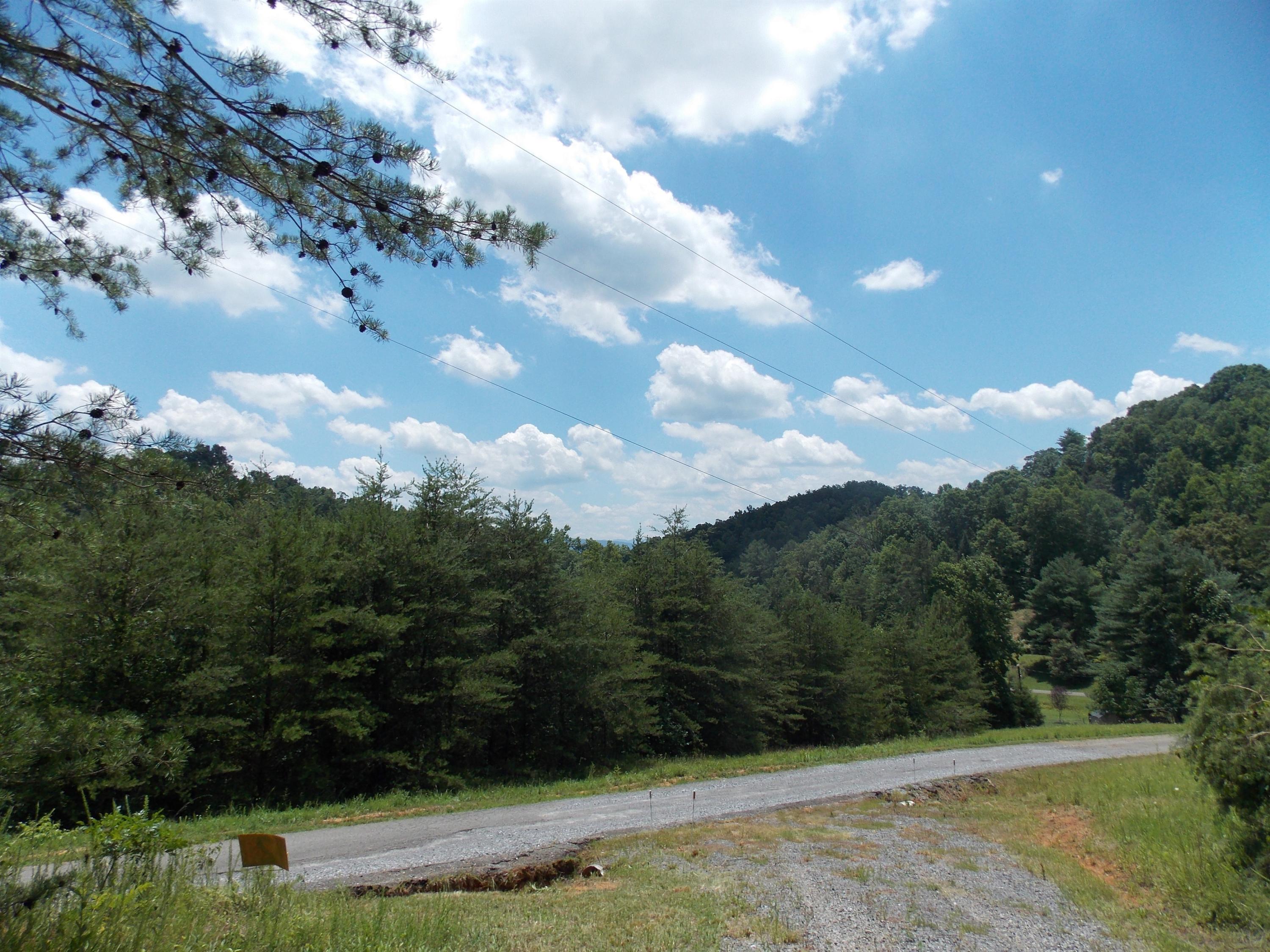 Brewer Road Maryville, TN 37801 - Photo 2 of 12 Driveway On Site