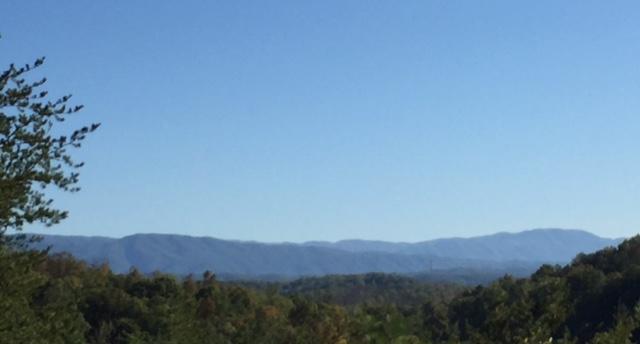 Brewer Road Maryville, TN 37801 - Photo 11 of 12 This can be your view