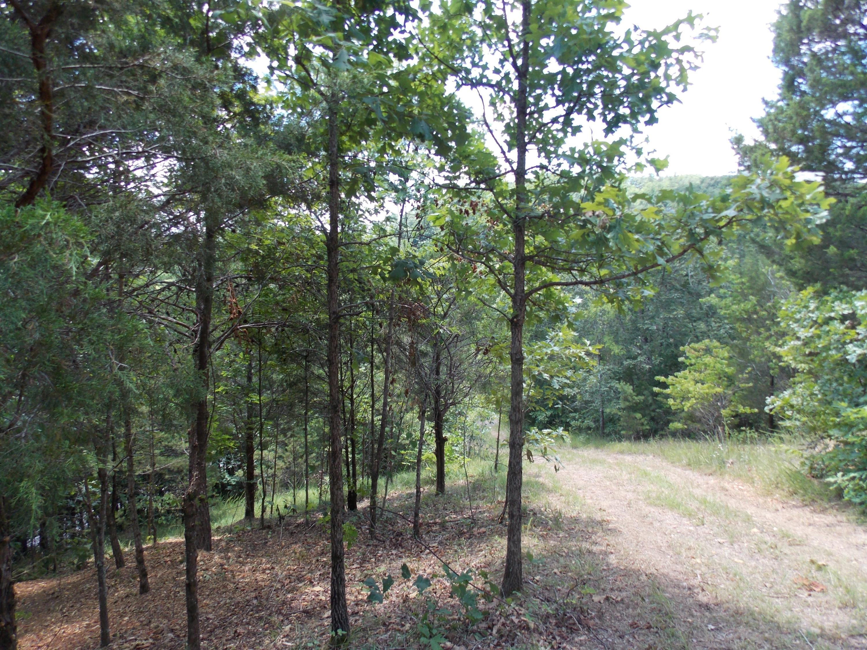 Brewer Road Maryville, TN 37801 - Photo 3 of 12 Private and Peaceful