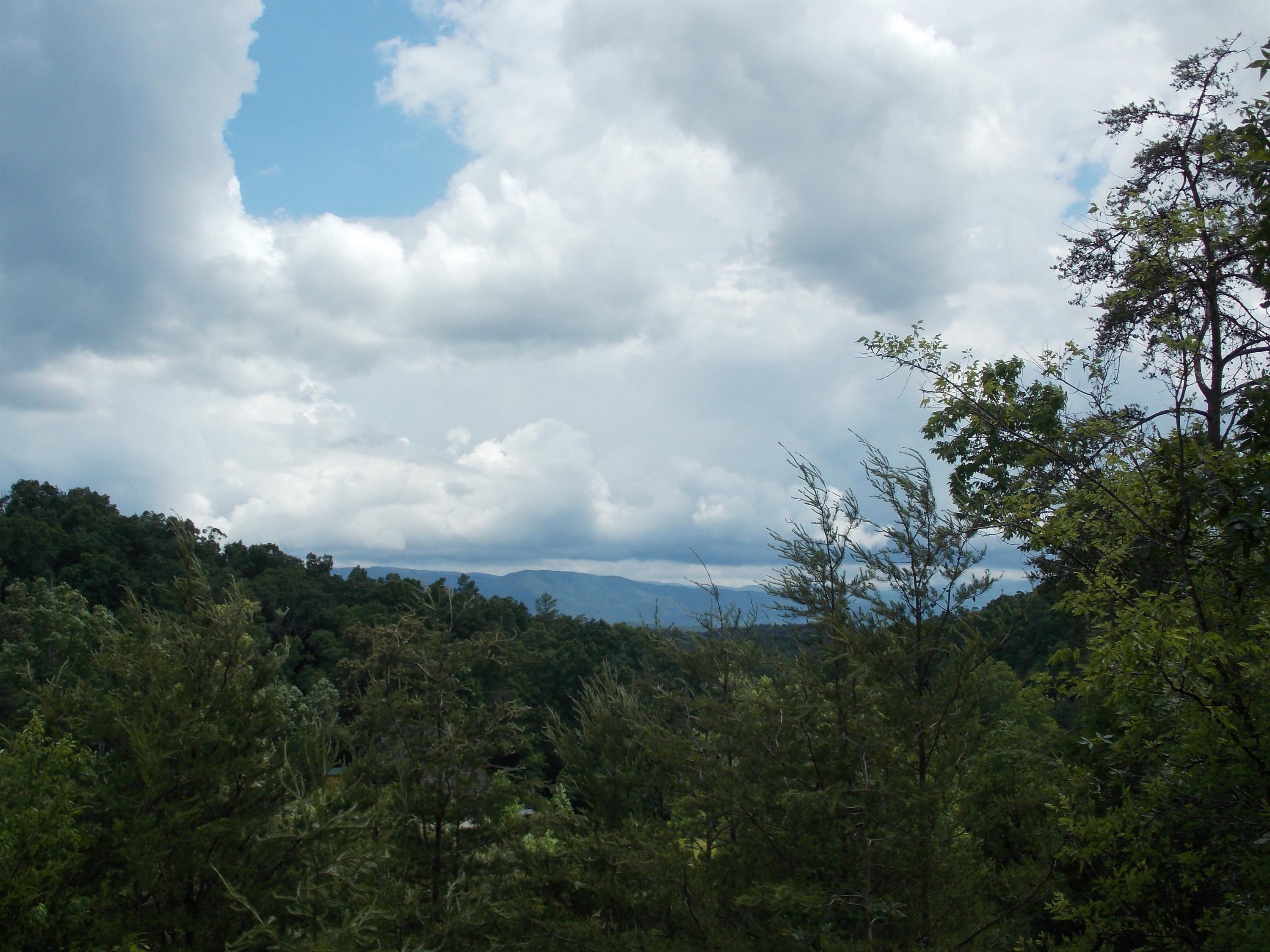 Brewer Road Maryville, TN 37801 - Photo 5 of 12 Simply Gorgeous
