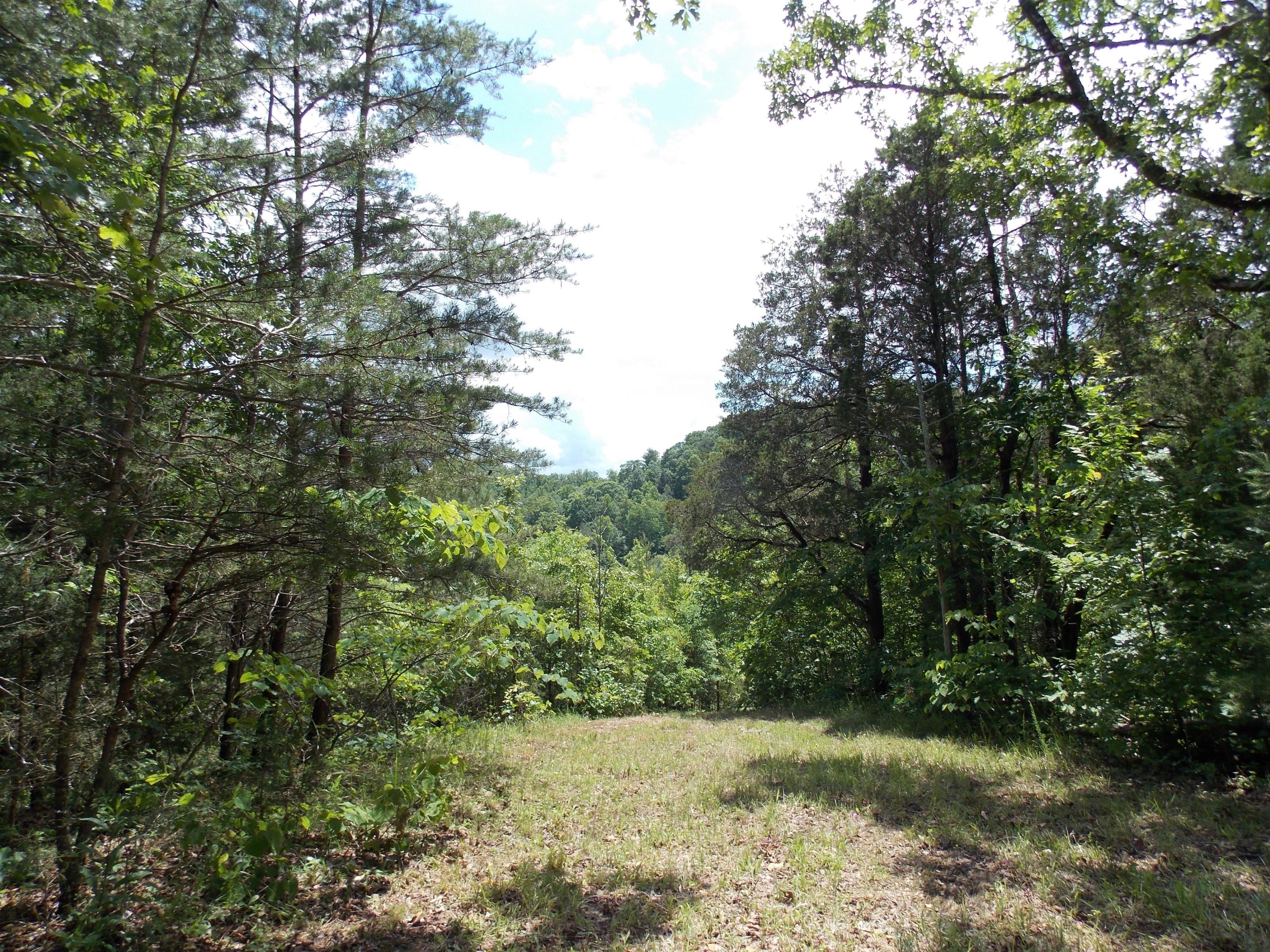 Brewer Road Maryville, TN 37801 - Photo 6 of 12 002_002_DSCN1900