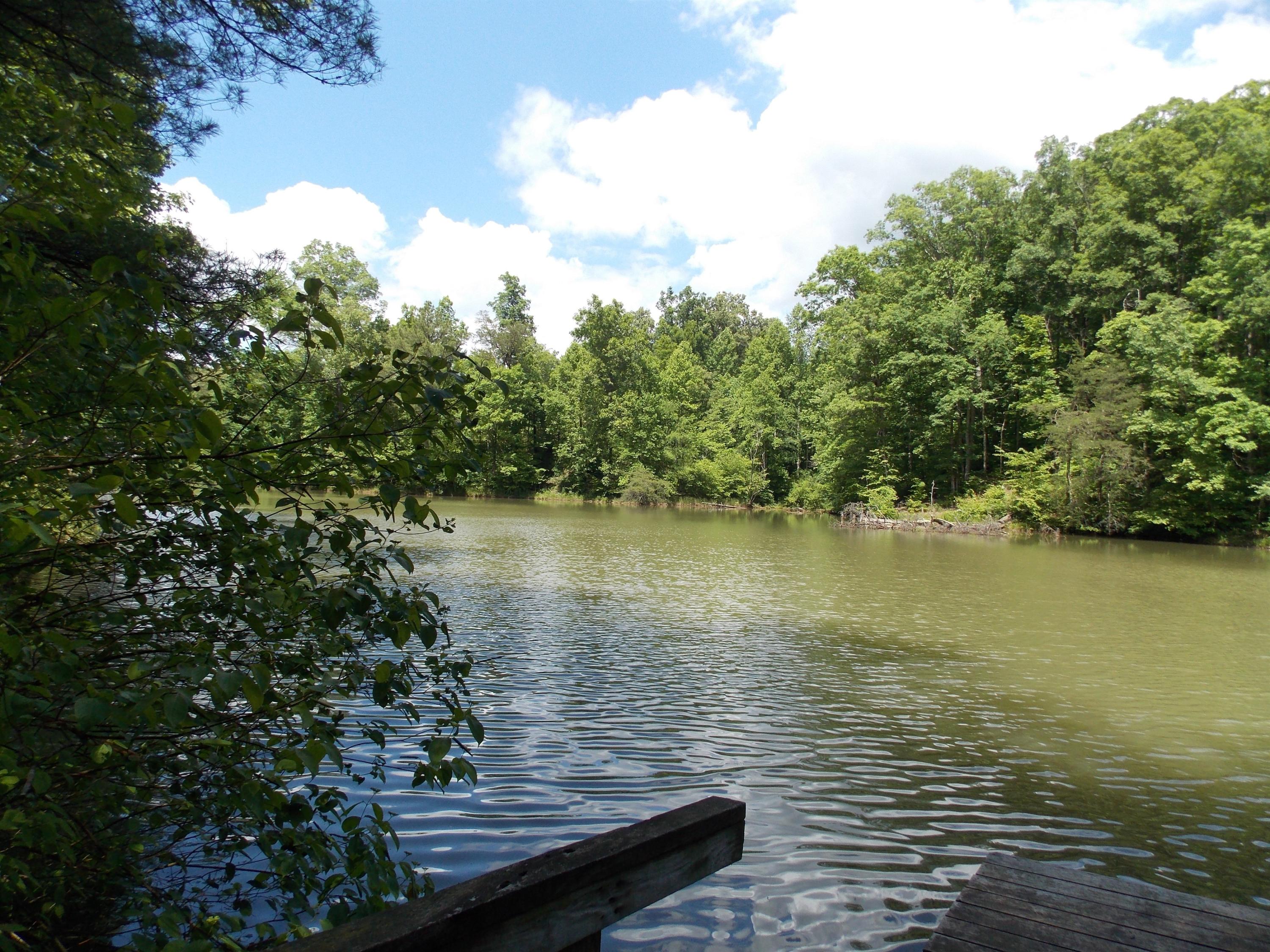 Brewer Road Maryville, TN 37801 - Photo 8 of 12 Community Lake