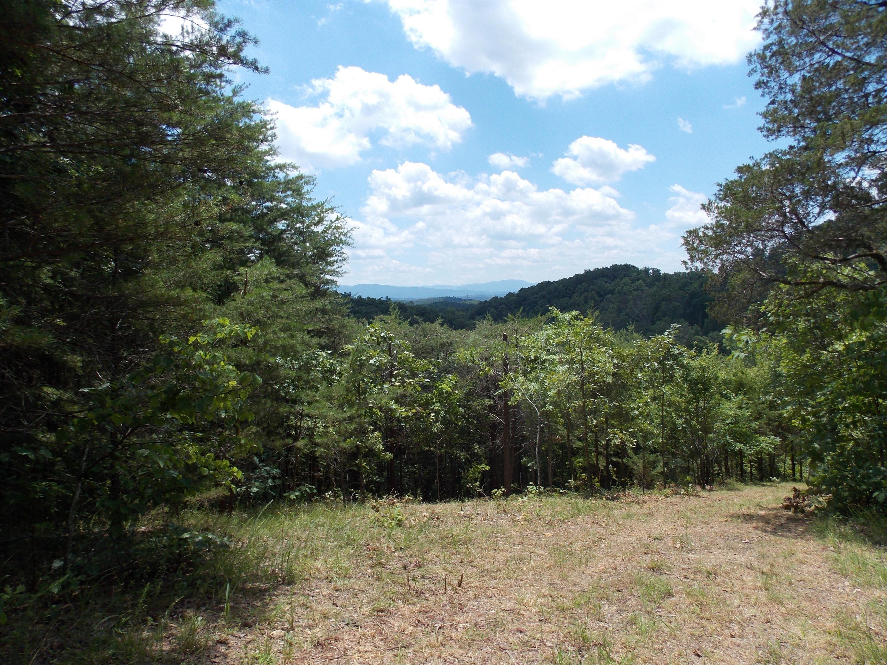 Brewer Road Maryville, TN 37801 - Photo 10 of 12 026_026_DSCN1946