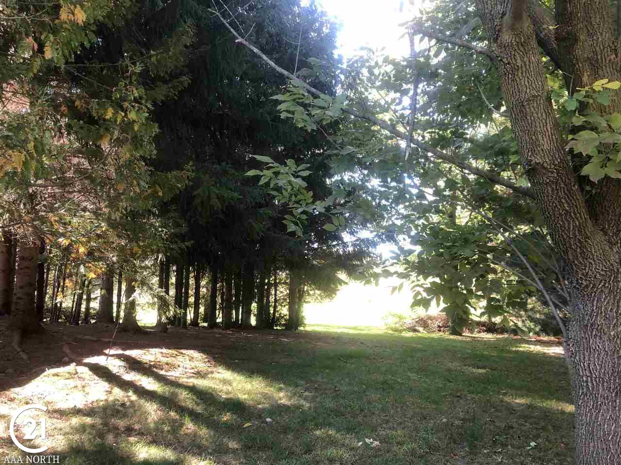 78625 Kidder Road Romeo, MI 48065 - Photo 39 of 48 Side View of Property