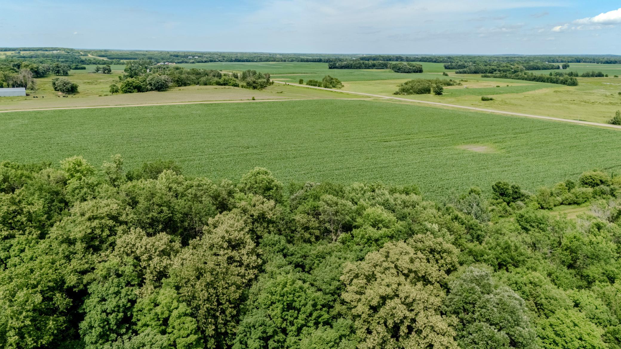 Tbd Cardinal Road Swanville, MN 56382 - Photo 15 of 16
