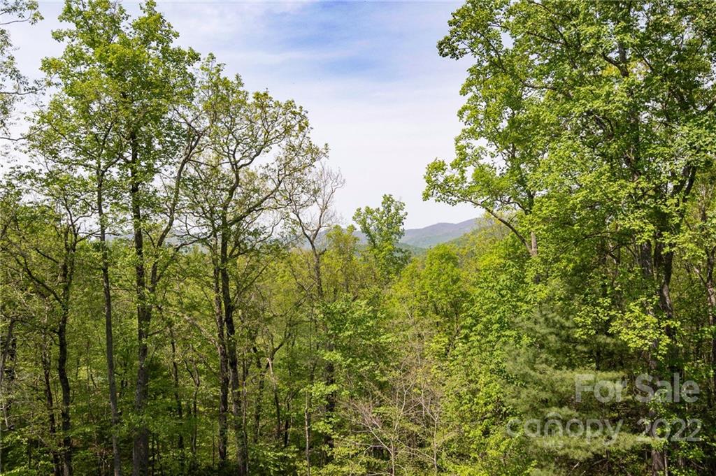 106 Bishop Cove Road Fairview, NC 28730 - Photo 15 of 36 Gallery Image 15