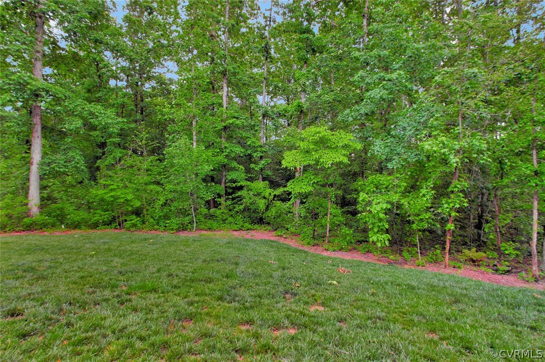 16536 Saville Chase Road Midlothian, VA 23112 - Photo 48 of 49 Gallery Image 48