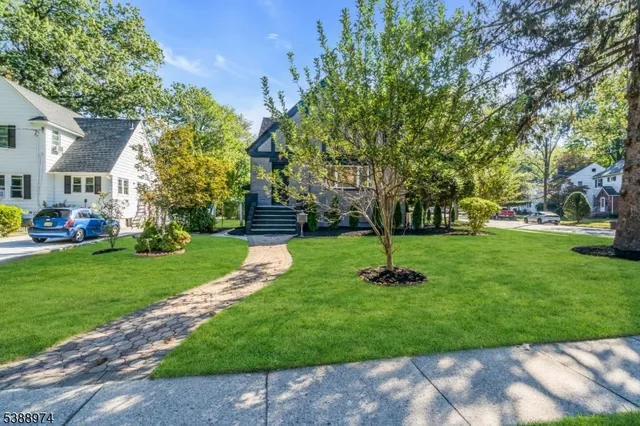 a garden with lots of trees