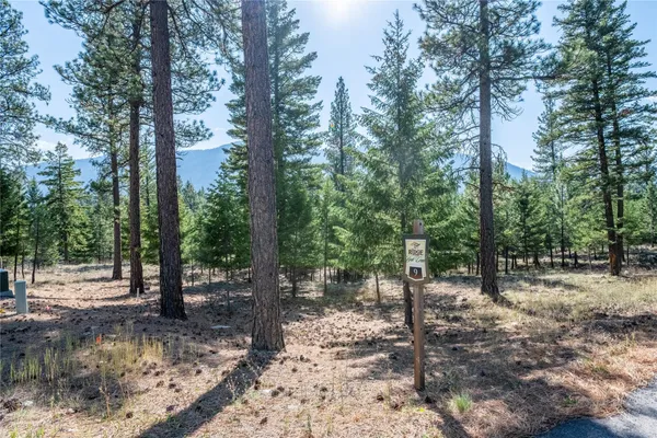$174,500 | Lot 9 Stonefly Road, Clinton, MT 59825