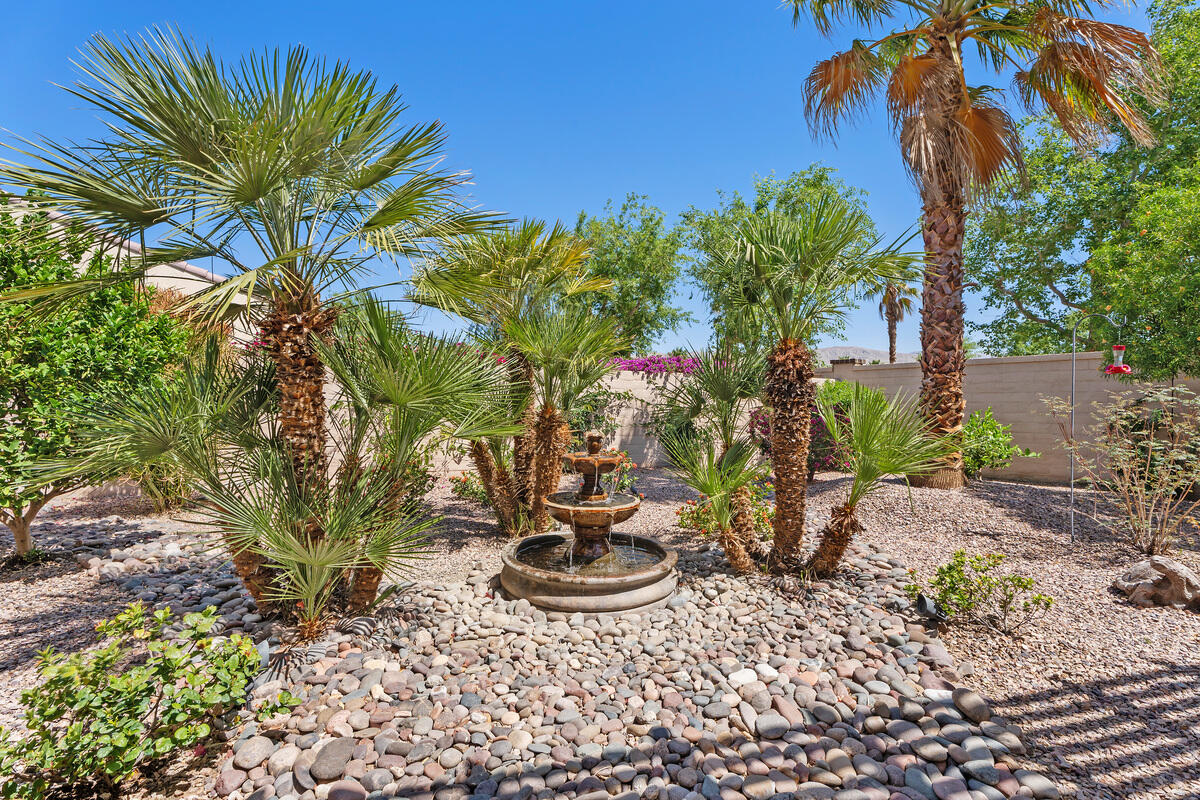 81220 Corte Tolon Indio, CA 92203 - Photo 26 of 42 a view of a backyard with plants and a garden