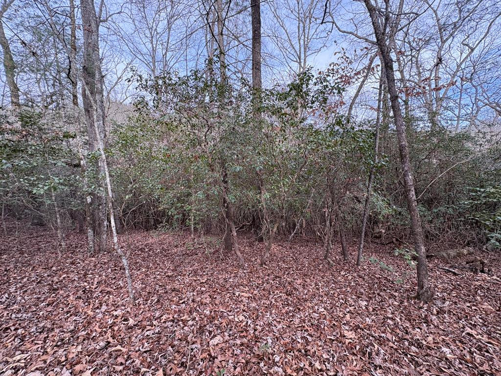 0 Multiple Lots Old Johnson Road Murphy, NC 28906 - Photo 6 of 35 Gallery Image 6