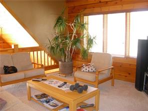 3330 High Creek Road Fairplay, CO 80440 - Photo 17 of 25 Gallery Image 17