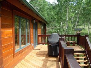 3330 High Creek Road Fairplay, CO 80440 - Photo 23 of 25 Gallery Image 23