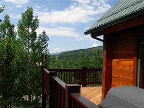 3330 High Creek Road Fairplay, CO 80440 - Photo 24 of 25 Gallery Image 24