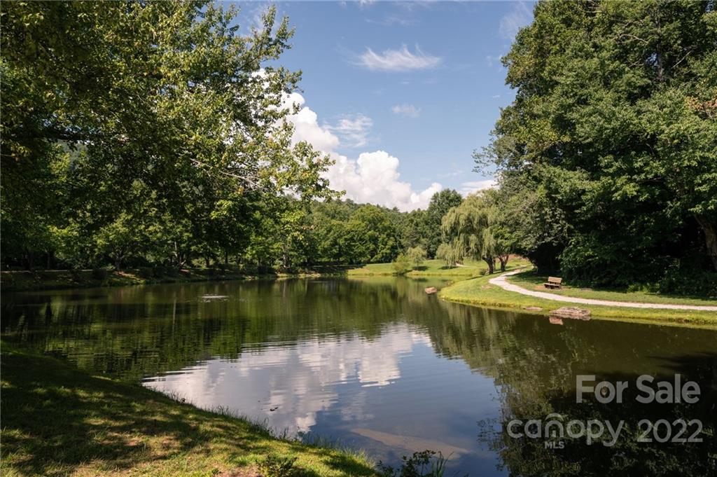 6 Pine Ridge Trail Arden, NC 28704 - Photo 3 of 31 Gallery Image 3