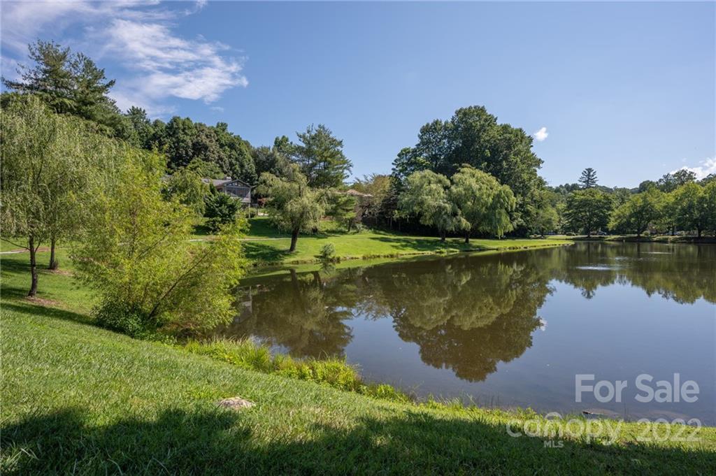 6 Pine Ridge Trail Arden, NC 28704 - Photo 5 of 31 Gallery Image 5