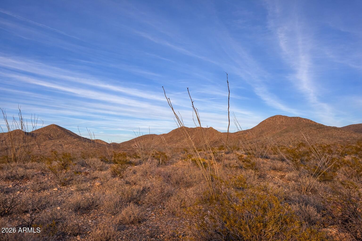 Tbd South Miners Dream Road Tombstone, AZ 85638 - Photo 11 of 23 a view of a mountain in the distance in a forest