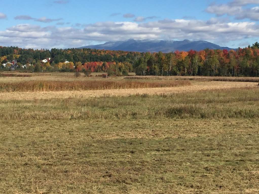 22 Fox Run Road Essex, VT 05452 - Photo 38 of 39 Gallery Image 38