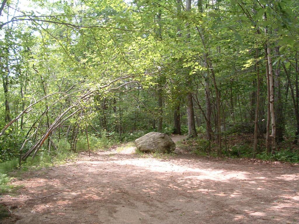 354 New Bridge Road Acton, ME 04001 - Photo 12 of 33 Gallery Image 12