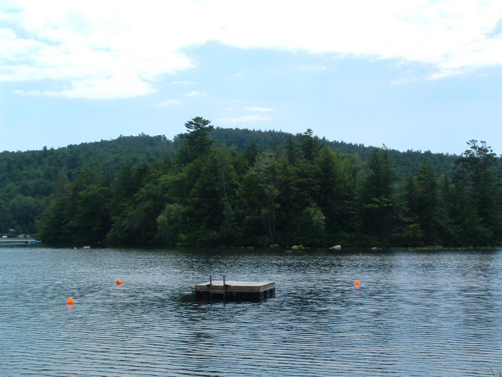 354 New Bridge Road Acton, ME 04001 - Photo 7 of 33 Gallery Image 7