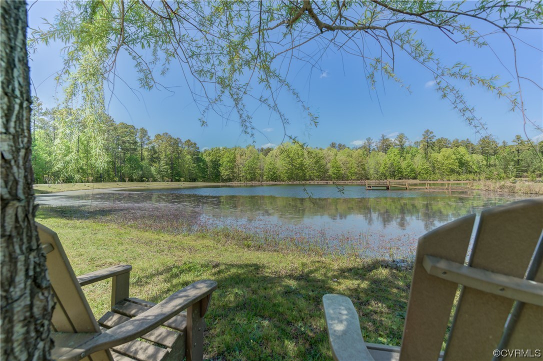 5101 Moseley Road Moseley, VA 23120 - Photo 46 of 46 a view of lake from deck