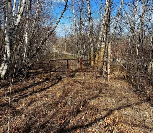 $99,000 | 29221 Co Highway 34, Callaway, MN 56521