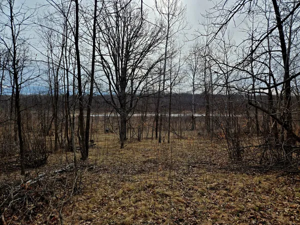$99,000 | 29221 Co Highway 34, Callaway, MN 56521