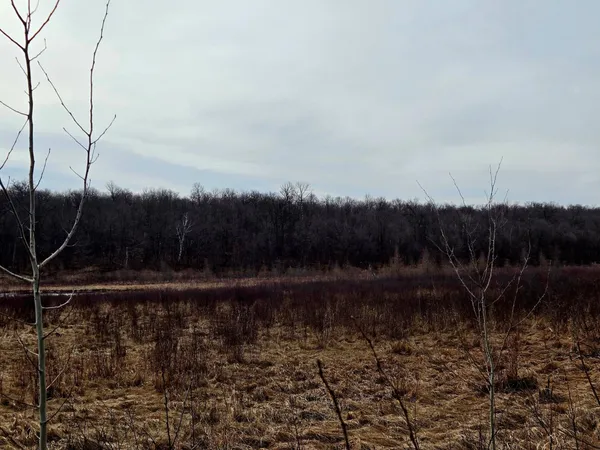 $99,000 | 29221 Co Highway 34, Callaway, MN 56521