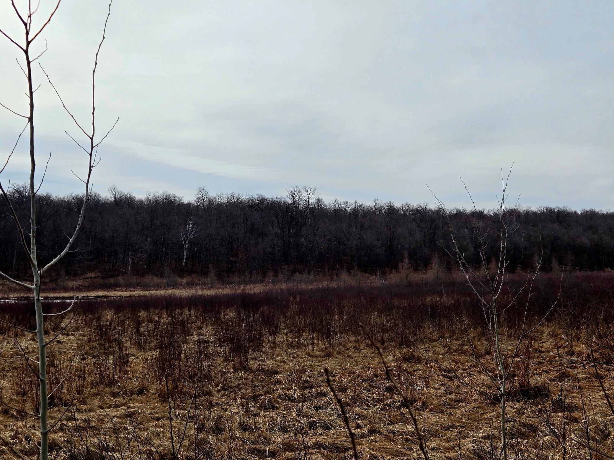 29221 Co Highway 34 Callaway, MN 56521 - Photo 10 of 20